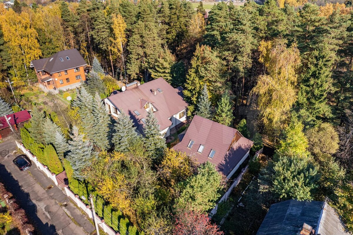 Почему нельзя строить или покупать дом в лесу: 7 "жирных" минусов ...