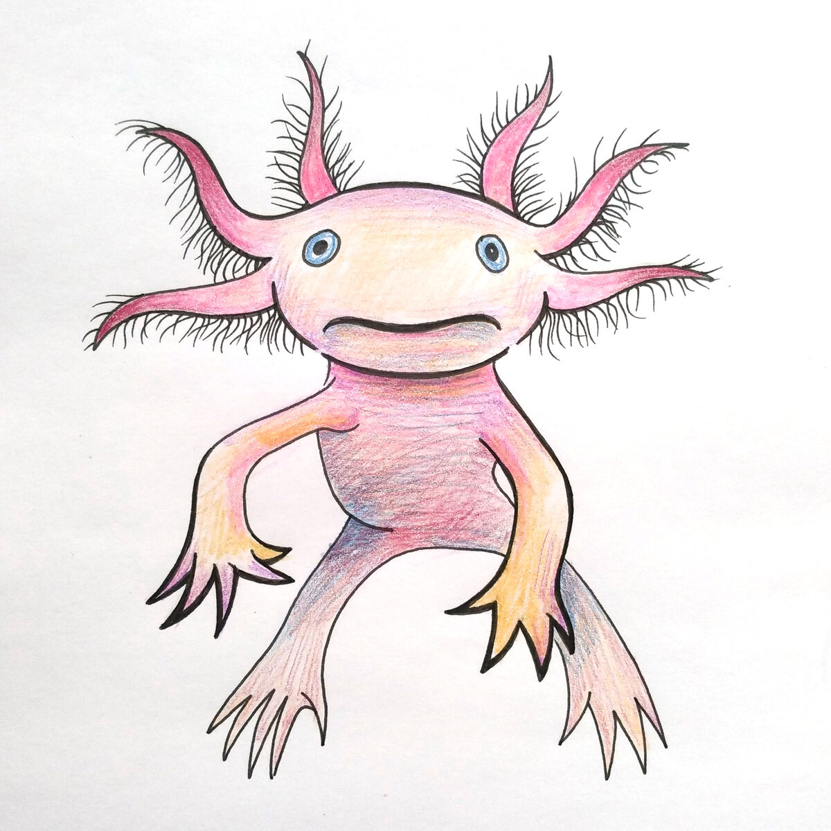 Axolotl black dota фото 32