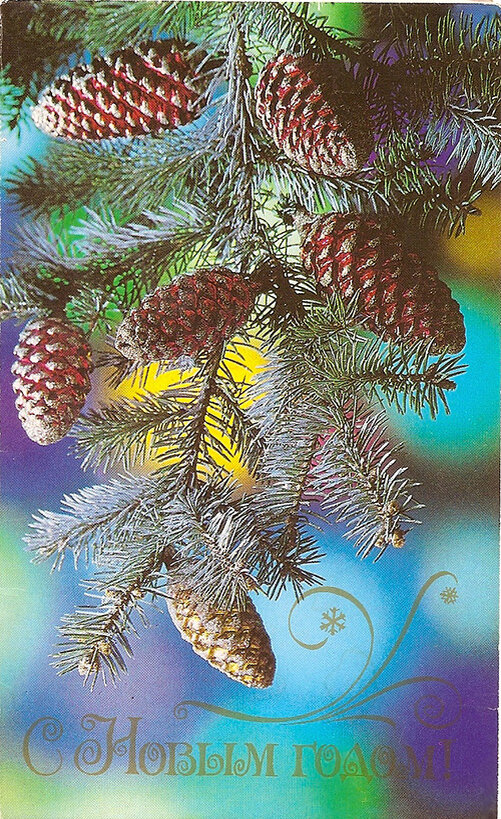 1987 г. Фото Костенко