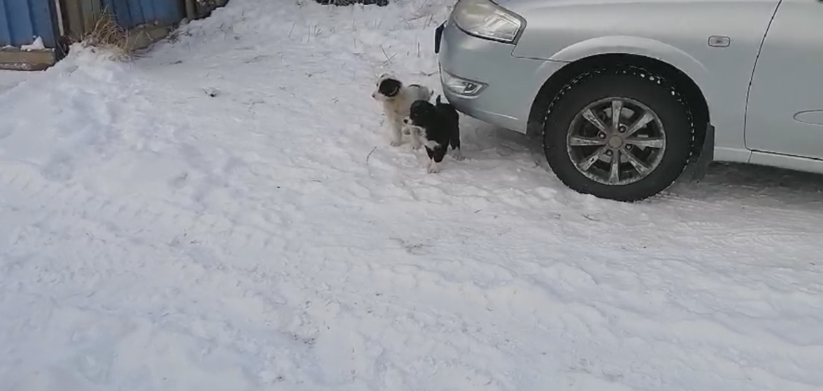 Кай и Герда
