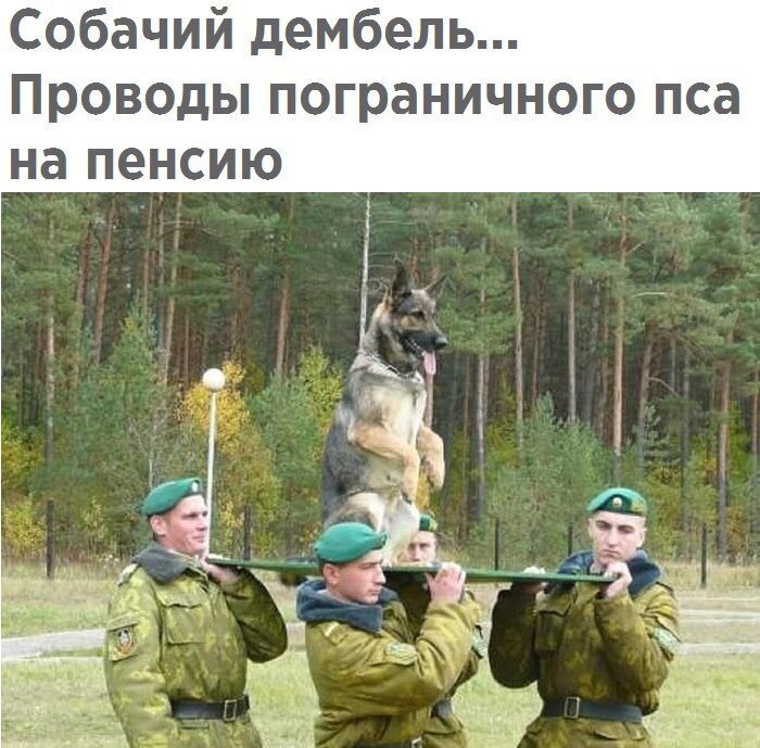 km.ru  фото взято из интернета из свободного доступа , без нарушения авторских прав с  обязательной ссылкой на сайт правообладателя.