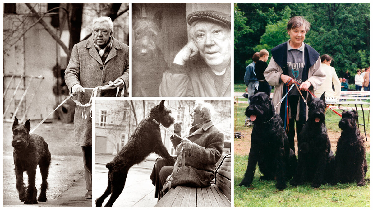 Юрий и Татьяна Никулины со своими хвостатыми друзьями • коллаж автора канала Art Dog | Творческая Собака