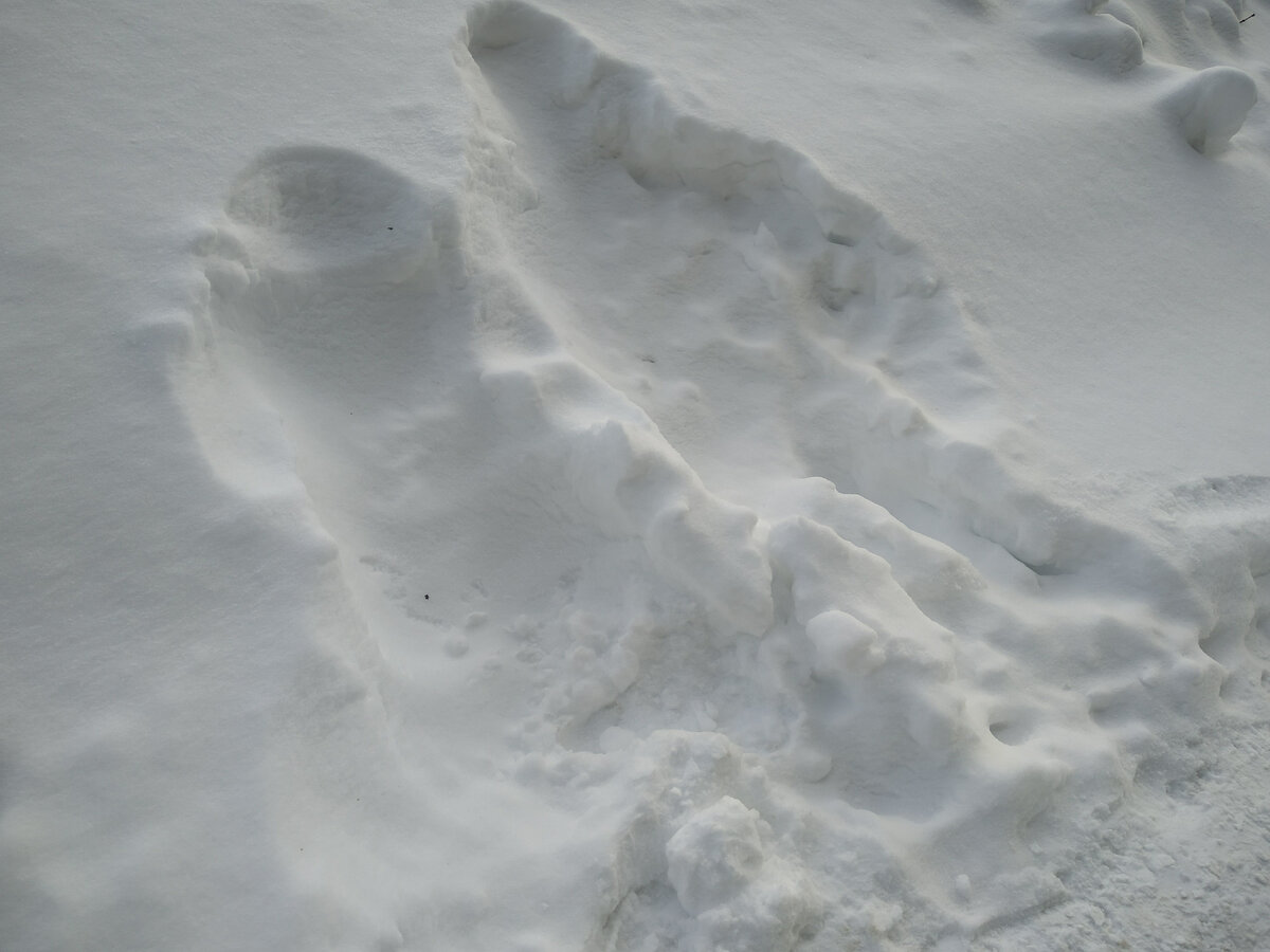 вот, кто-то большой и кто-то маленький лежали рядышком в сугробе)) а сугробы у нас выше меня местами)))