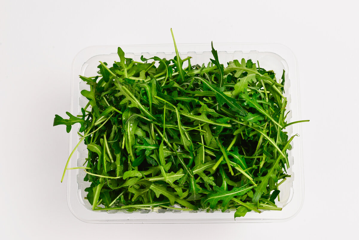 руккола в горшке. салатные листья руккола листья. семидольный листок у рукколы. руккола индау бутербродная. крестоцветные рукола растение.