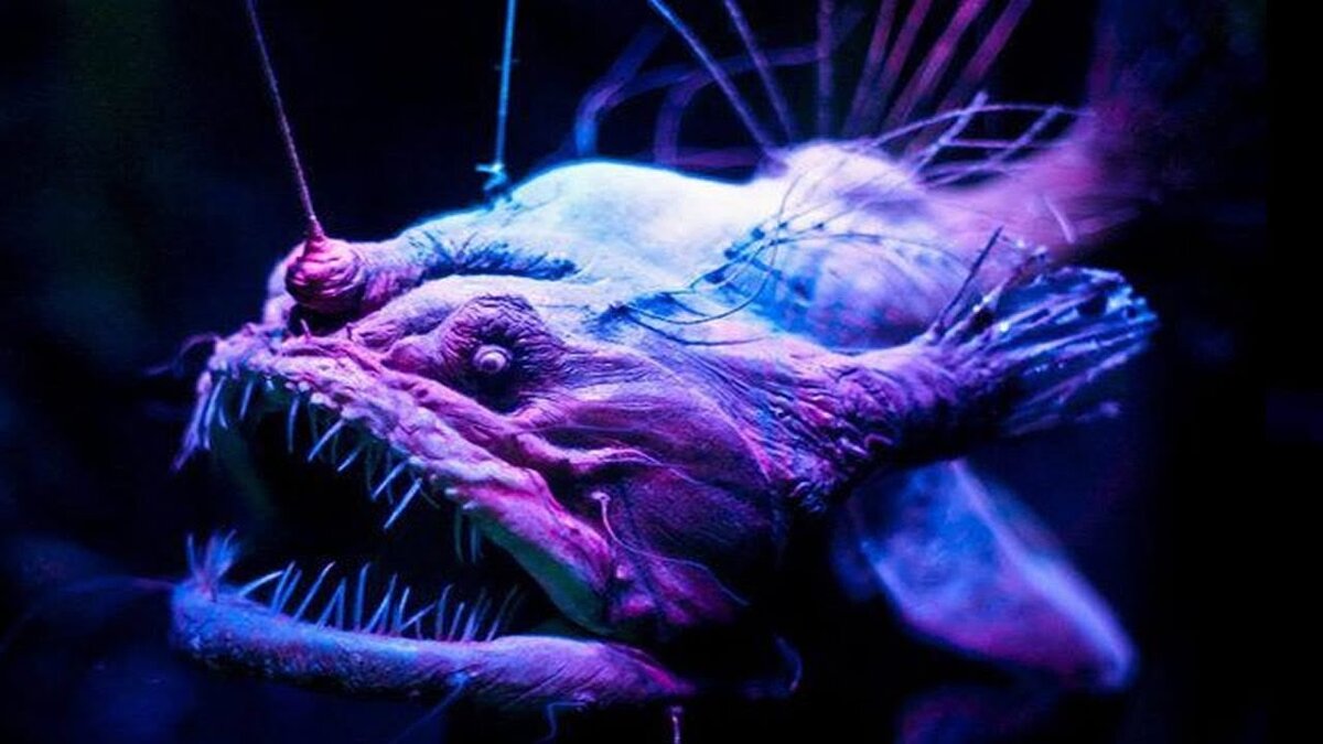 Источник фото: i.ytimg.com