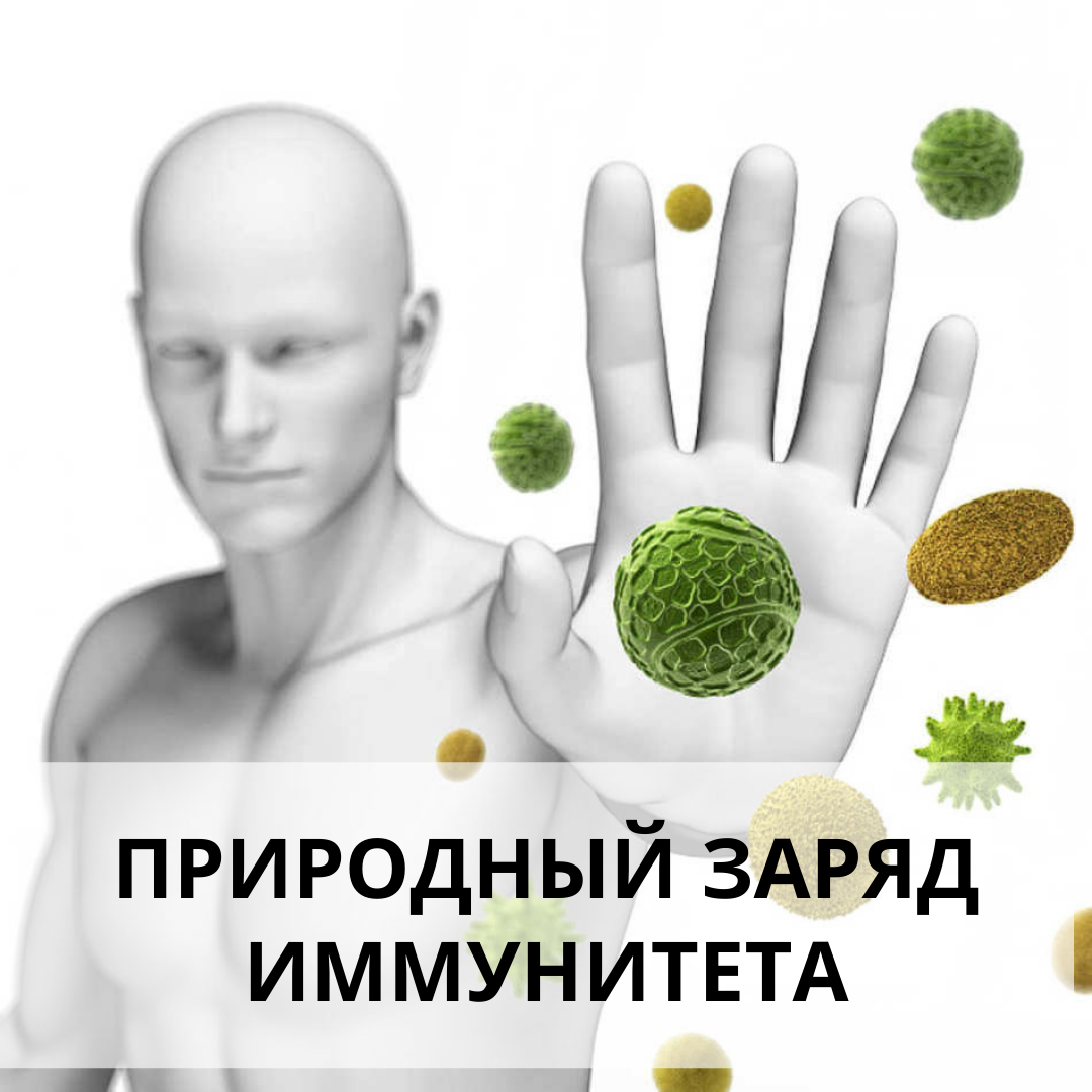 💪Иммунная система организма играет роль защитника, так как основная ее цель – распознавание и обезвреживание патогенов. 🤒Если ощущаете слабость, регулярно болеете ОРВИ, у вас плохо заживают даже небольшие ссадины, пора подумать об укреплении иммунной системы.
😔Когда она ослаблена, понижается работоспособность, человек постоянно чувствует усталость, слабость, ему трудно вставать по утрам. Ослабленная иммунная система просто не в состоянии бороться с чужеродными агентами.
🥵Пока иммунитет в норме, человека не беспокоят ни простуда, ни ОРВИ, но в период сезонных эпидемий ресурсы иммунной системы истощаются, ведь ей приходится постоянно отражать атаки. И она очень нуждается в поддержке и укреплении, а сделать это при желании достаточно просто.
👉Чем поднять иммунитет — вопрос, который остро встает в холодное время года, когда начинается сезонный рост заболеваемости.
☝Для укрепления иммунитета существует масса препаратов, однако натуральные средства для профилактики заболеваний не теряют своей актуальности, отличаясь рядом преимуществ по сравнению с синтетическими аналогами.
🌸Безопасность применения, натуральный состав, редкие противопоказания являются бесспорными аргументами в пользу их выбора.
🌿Наиболее эффективными и легкими в приготовлении являются травяные чаи, отвары, настои и спиртовые настойки различных трав.
💪Благодаря своим целительным свойствам, безопасностью в применении и способностью восстанавливать защитный рубеж организма, растительные средства являются оптимальным способом укрепления иммунной системы.
🌾Травы хорошо работают и по отдельности. Но эффективнее использовать их в составе сборов, так как в сборе травы дополняют друг друга. Ну и в отличие от лекарств - это просто вкусно!
❤️ Травяной «Таёжный сбор (Витаминный)» содержит одни из самых сильных трав, которые действительно смогут помочь вам зарядить здоровье, а ваша иммунная система вас отблагодарит отличной и бесперебойной работой!
🥰Ведь правильная работа иммунной системы — залог здоровья и хорошего самочувствия!