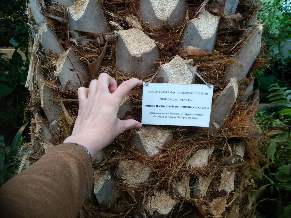 Её ствол и табличка