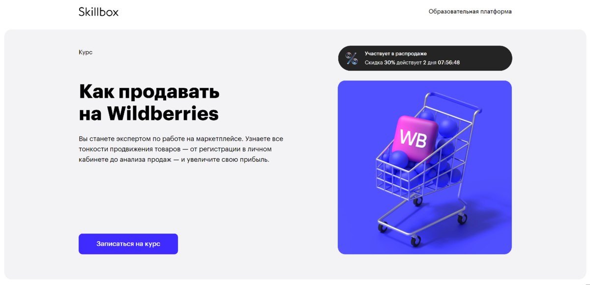 Как распродать товар на вайлдберриз. Курсы Wildberries. Wildberries как продавать. Wildberries курс. Заработок на Wildberries.