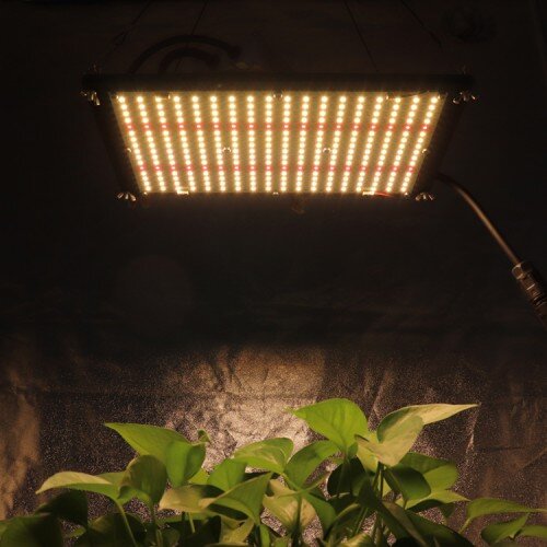 Quantum Board qb288 v2 Samsung lm301H(B) Epistar