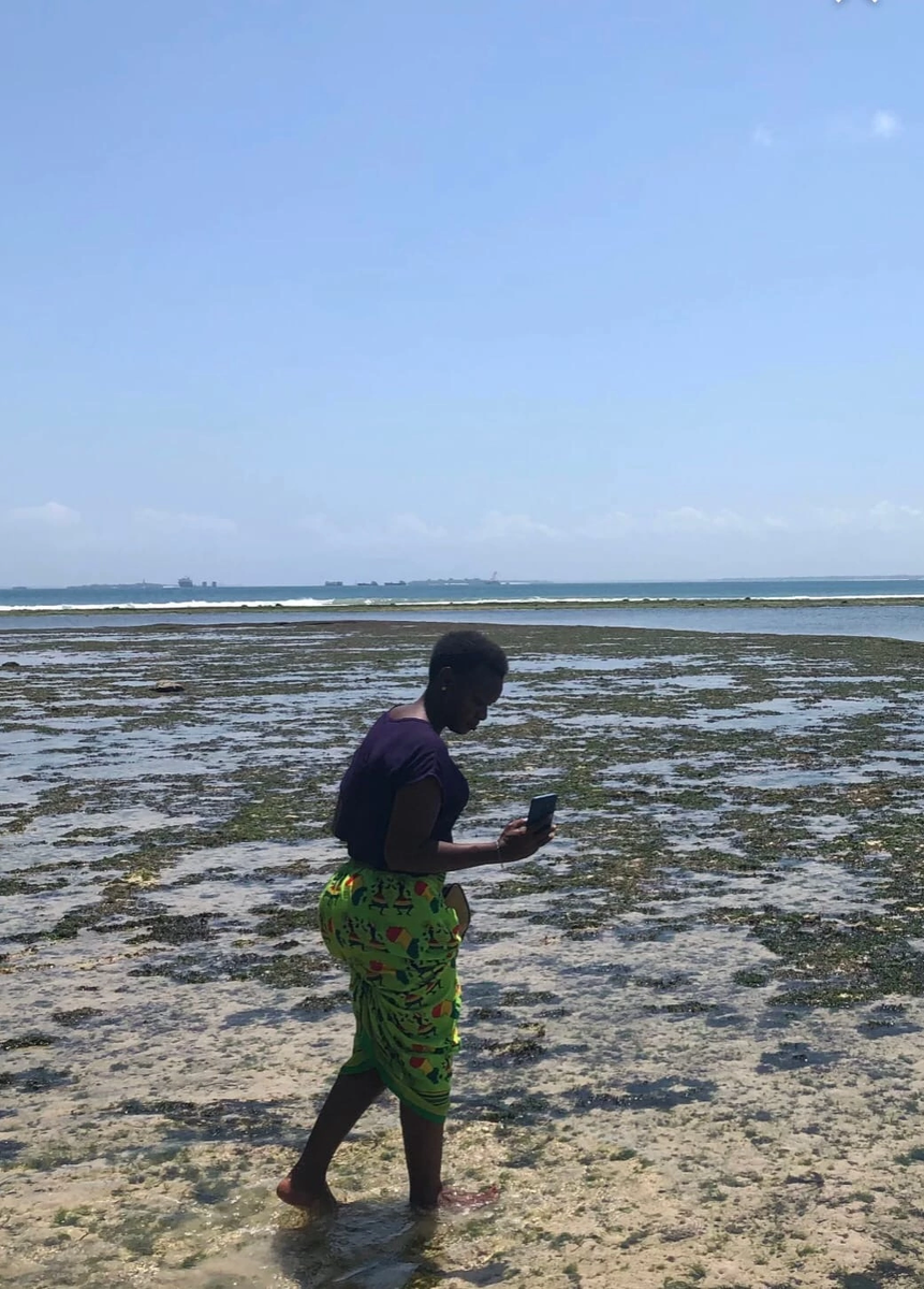 Люси, и прогулки по океанскому пляжу. 