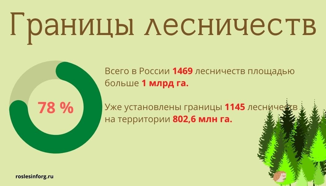 Количество лесничеств в России