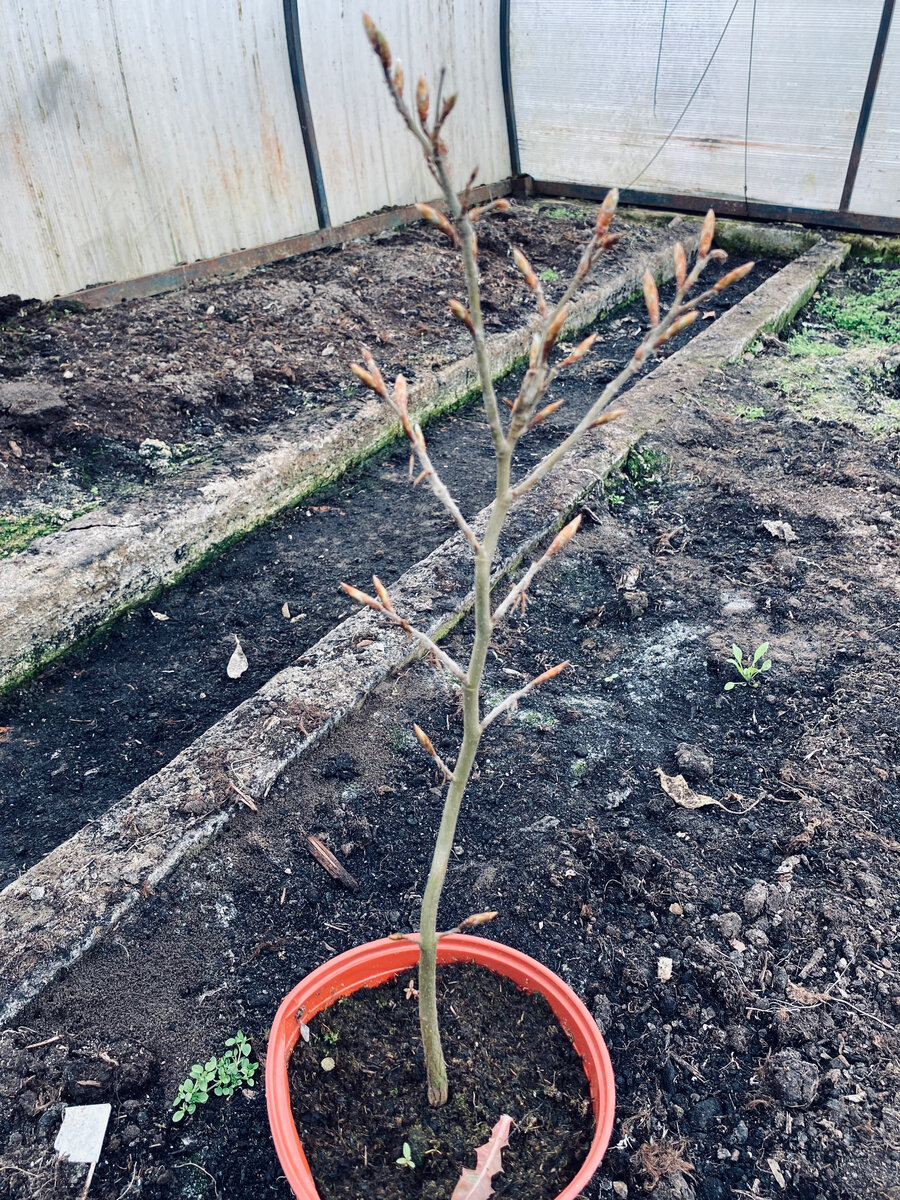 Так наш бук выглядел при покупке. Фото автора. 