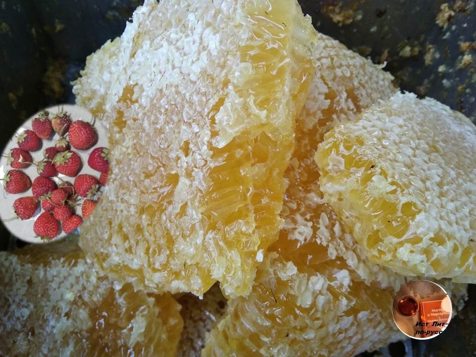 фото и коллажи авторские