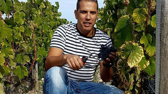 Фото процитировано из https://www.jancisrobinson.com/articles/adventures-of-an-amateur-winemaker