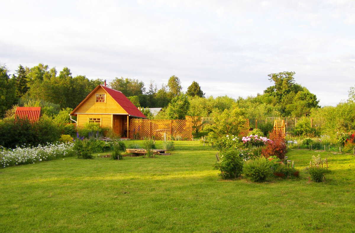 яндекс.картинки