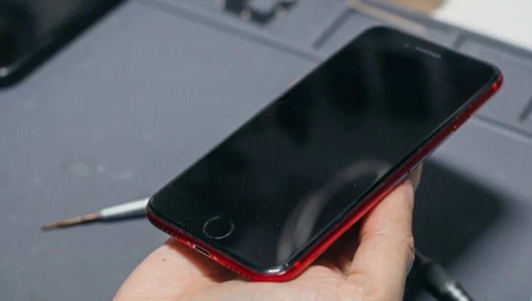 Старый iPhone можно продать не только на Авито