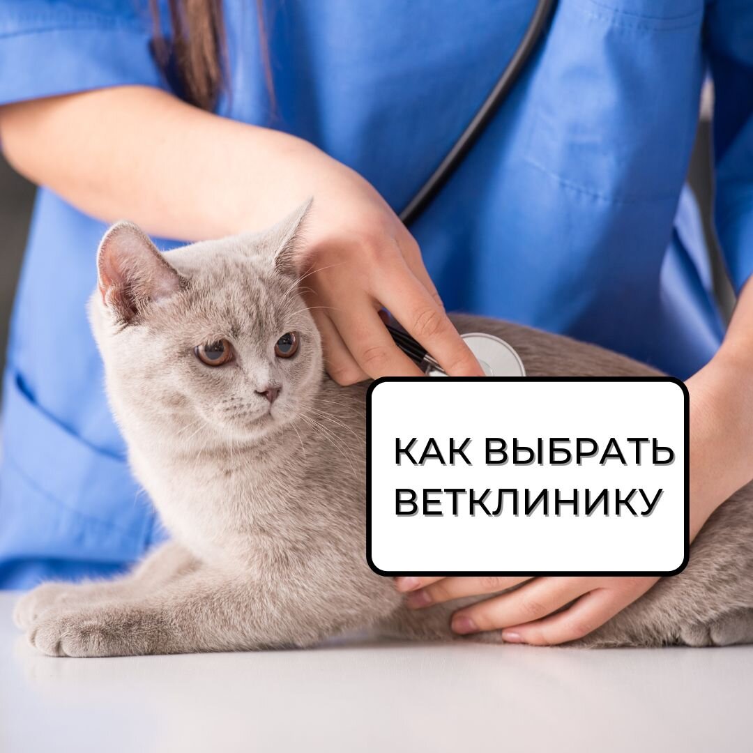 Не просто, но важно!