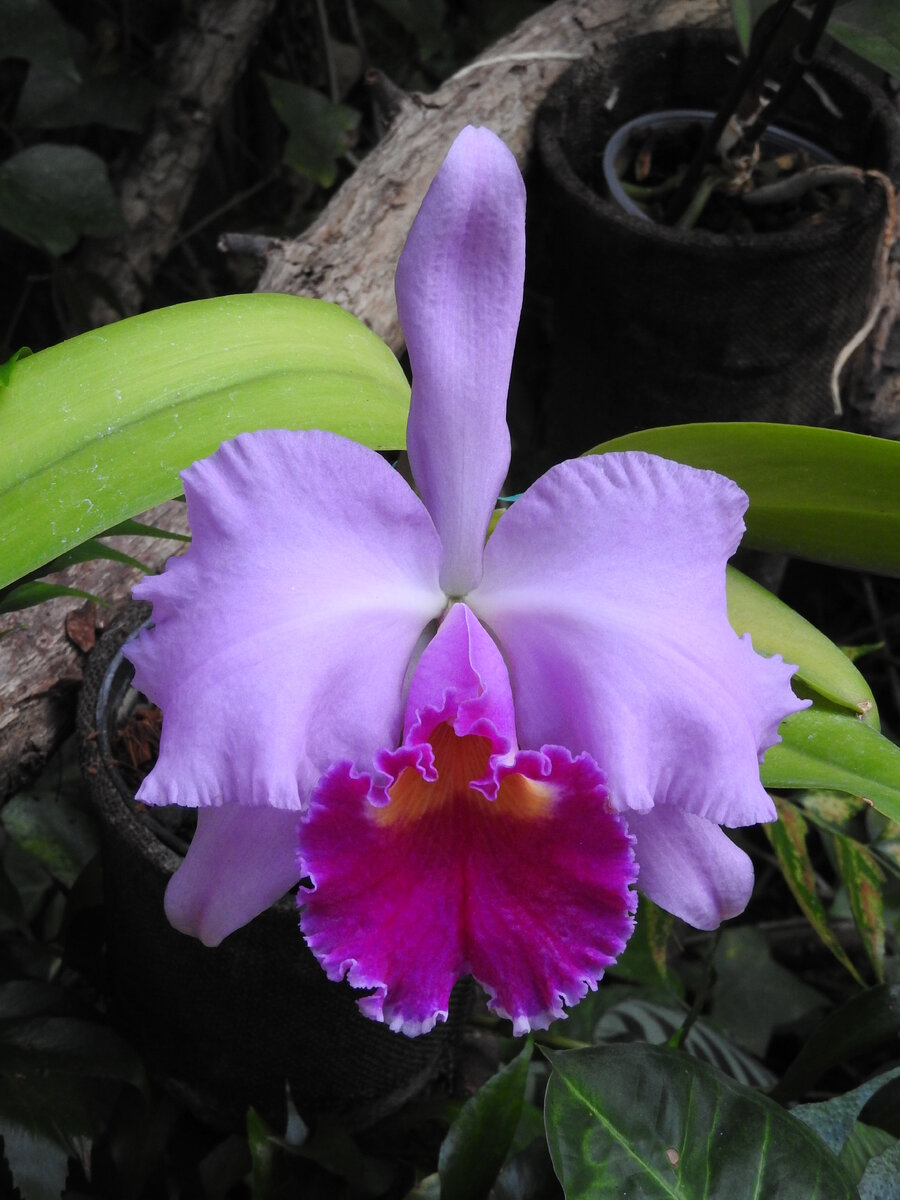 фото из архива автора статьи