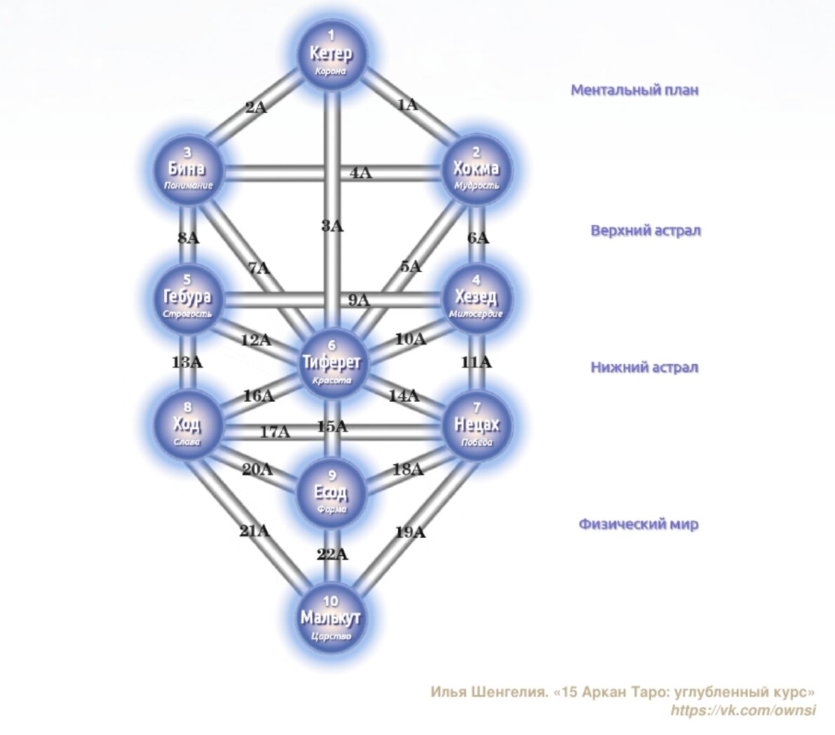 Каббалистическое древо жизни в таро схема