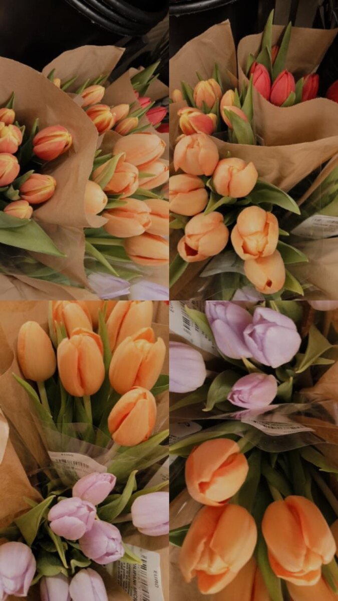 Осень ✨🖇️🪐