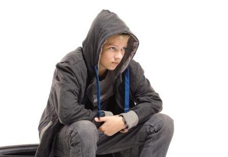 Фото из открытых источников Яндекса