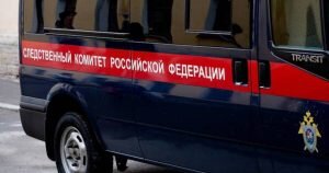    Фото: sakh.sledcom.ru Ирина Амелина