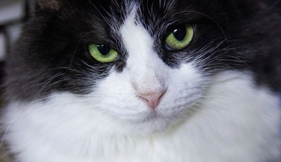 ❗️Дома ❗️ Вещи забрали, а Мелиссу – нет 😢