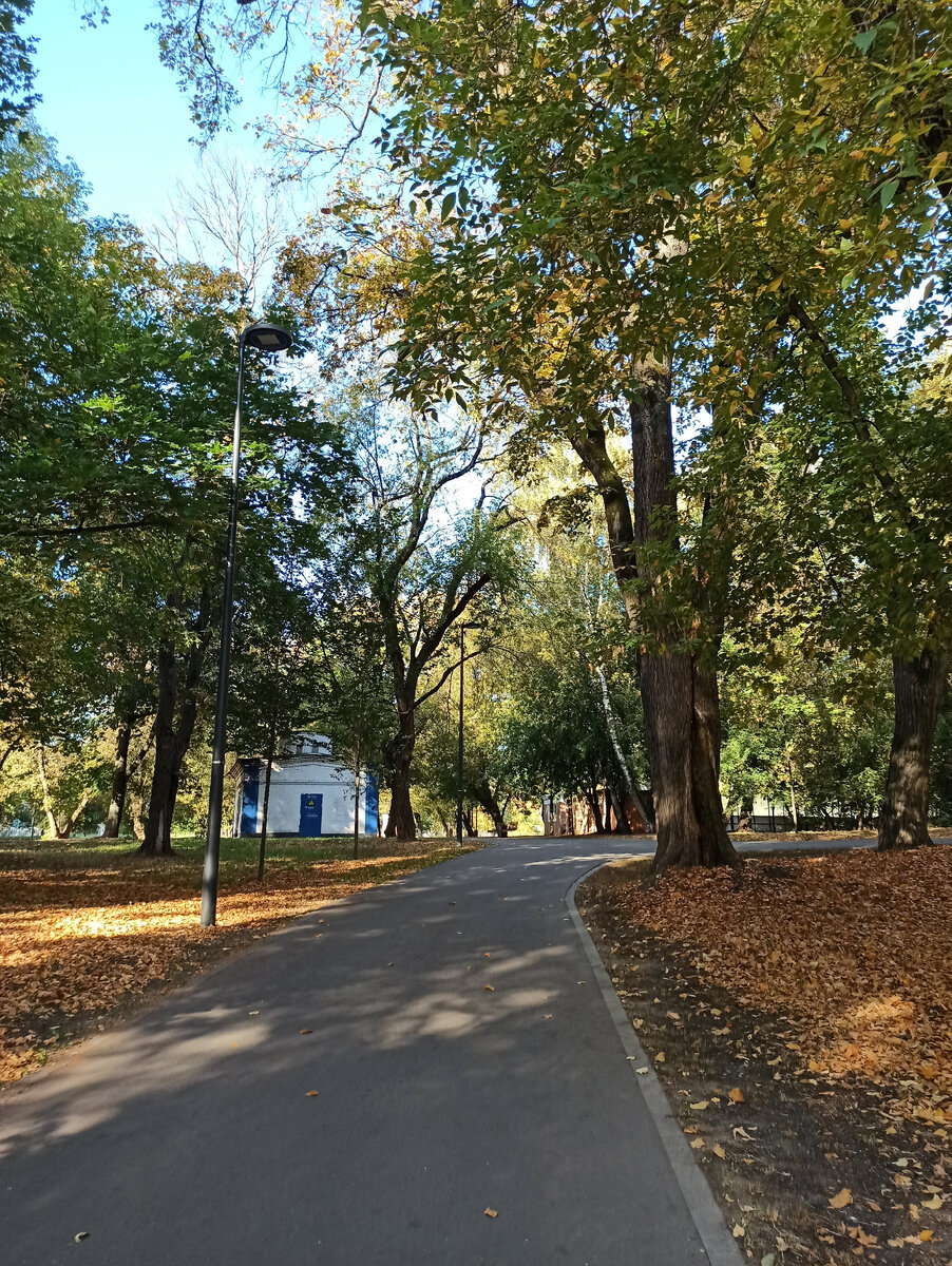 Фото парка, возле МФЦ