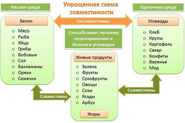 Таблица белковых продуктов и углеводов