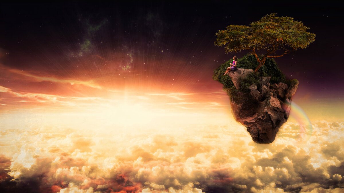 Художник Polly