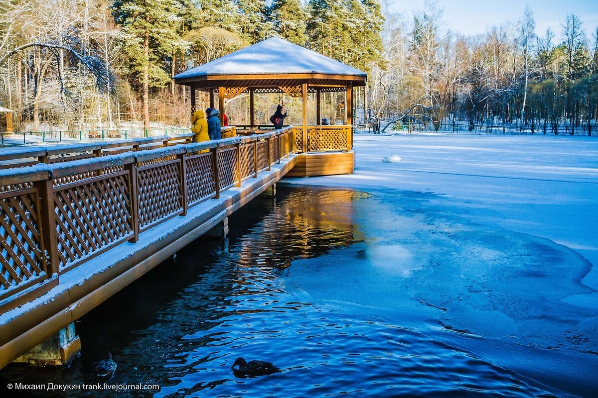 г новосибирск зоопарк