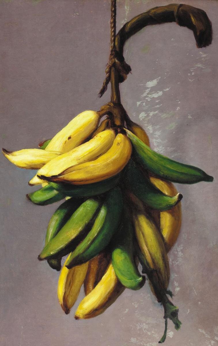 Бананы на ветке