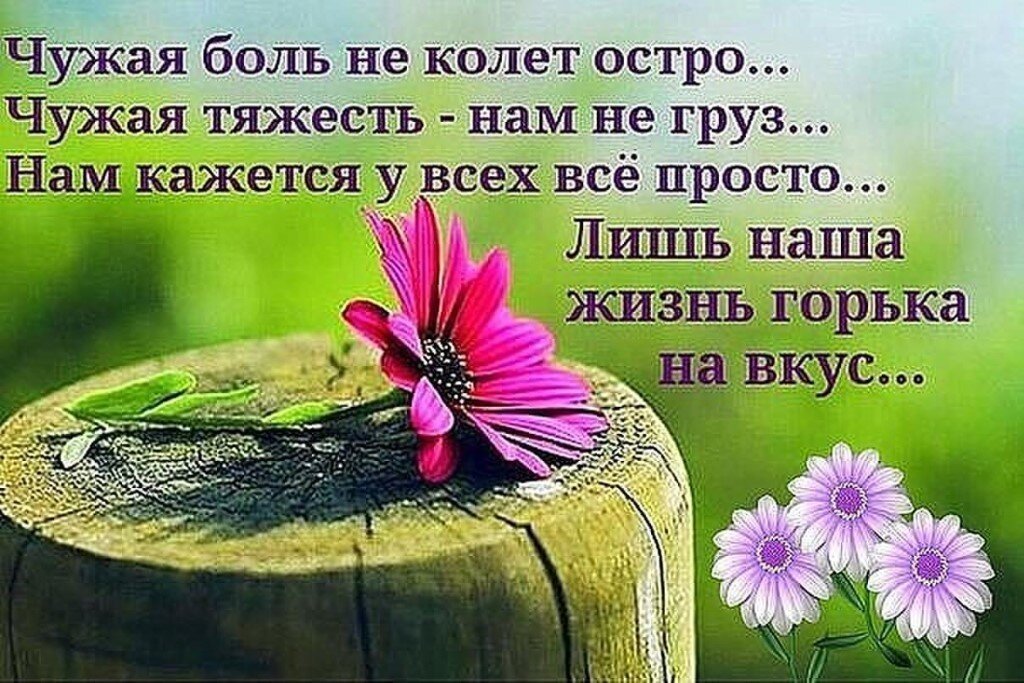 чужую беду руками разведу. пословица чужую беду руками разведу продолжение. пословица чужую беду руками разведу продолжение. чужую беду руками разведу. чужую беду руками разведу пословица смысл.