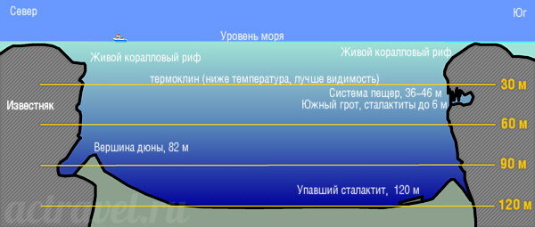 Ниже дна. Глубина термоклина. Большая голубая дыра схема. Что такое термоклин в воде. Термоклин в море.