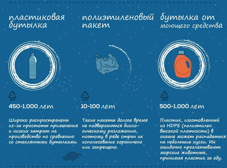 Сколько нужно времени для разложения стеклянной посуды. Пластик разлагается 500 лет