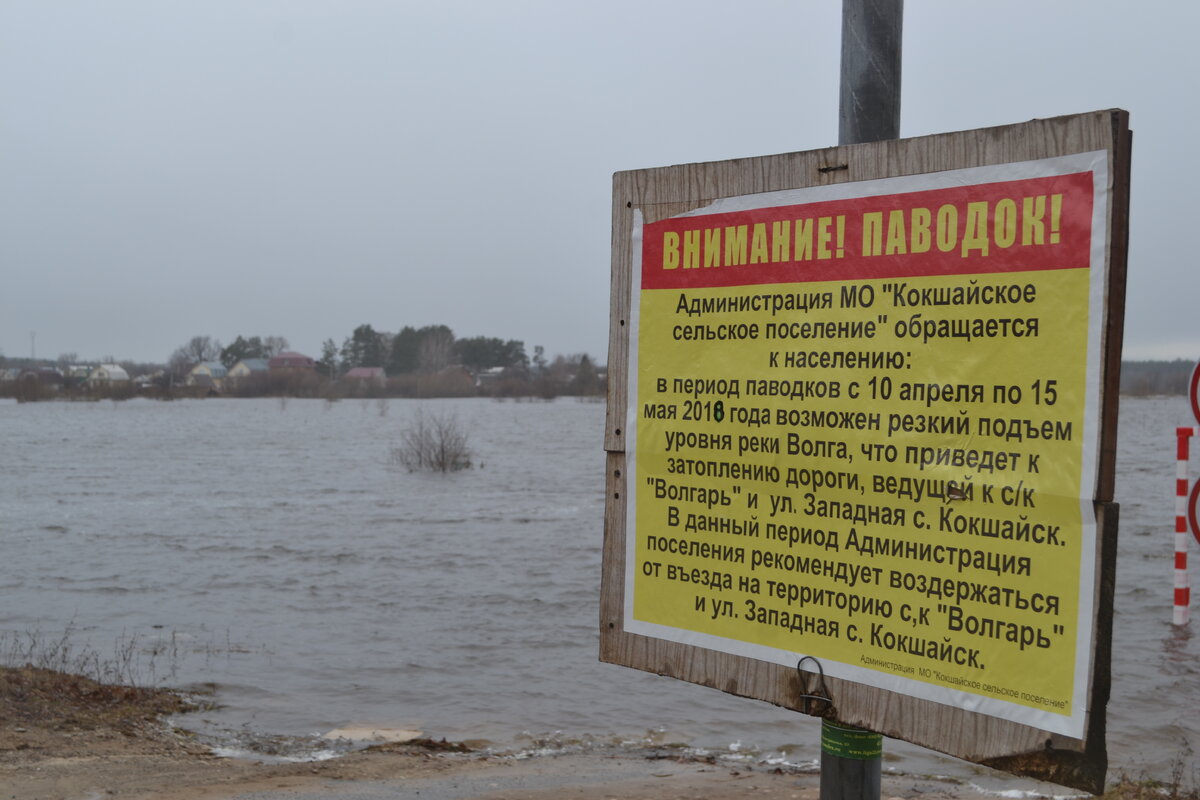 Ежегодное поднятие уровня воды в реке. Половодье реки Волга. Половодье в Кокшайске. Волга в Кокшайске. Подъем уровня воды.