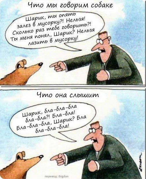 Да-да, так и есть