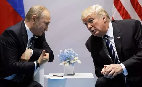 Фото с яндекс