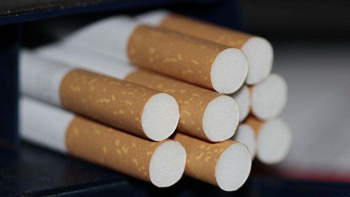  Сегодня также вступило в силу ряд норм, которые напрямую затрагивают табачную отрасль.