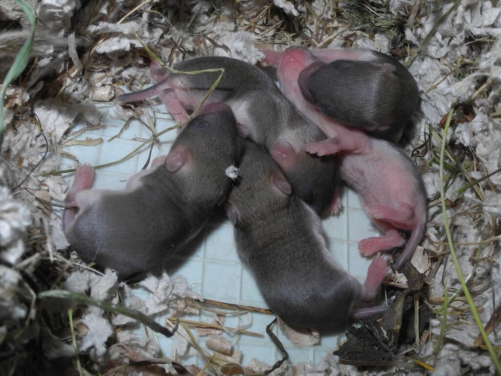  Фото: https://baikal-1.ru