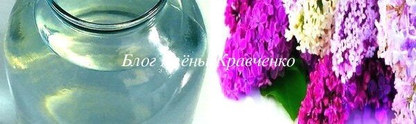 Здравствуйте, дорогие читатели. Сегодня хочу поделиться рецептами сирени на спирту(водке), которые применяла моя бабушка. У нее в саду росли несколько кустов фиолетовой сирени и куст белой. Каждый год она готовили настойку, которую называла еще «растиркой». Применяла она ее при головных болях, при ушибах, болях с мышцах, болях в суставах и пр. недугах. Помню, у бабушки всегда возле кровати стояла баночка с настойкой сирени. Давайте познакомимся с этим удивительным растением поближе. Ведь сирень — любимое многим кустарниковое растение, которое довольно широко распространено в большинстве стран Европы. Ее цветы, в буквальном смысле, притягивают своим невероятным видом и специфическим ароматом. А еще, они являются лечебными, используясь, по большому счету, в разнообразных рецептах, предлагаемых нам народной медициной. Разновидностей сирени в мире насчитывается около 550 видов. Но, в лечебных целях, как правило, применяется только сирень обыкновенная. 
Можно считать, что нам, в этом плане, повезло, ведь именно она наиболее распространена у нас! Ее незабываемый аромат, кружащий голову, очень часто используется в парфюмерной промышленности.

А вот букет, поставленный в небольшой комнате с эстетической или, якобы, лечебной целью (ароматерапевтической), способен подействовать на организм в негативном ключе, вызвав головные боли, головокружение, тошноту и так далее.

Это значит, что даже самое целебное растение может проявить обратный эффект, если его использовать неправильно. Настойка из цветов сирени на водке — один из самых популярных и действенных рецептов, которые используются в народе. И именно о нем, в частности — о его правильном приготовлении и использовании, пойдет сейчас речь.
Состав и свойства сирени

Спектр веществ, которые были выявлены в цветах этого кустарника, при их лабораторном исследовании, чрезвычайно широкий.

Есть в них витамины, минеральные вещества, эфирные масла, феногликозиды, фитонциды, фарнезин, синигрин, смолы и так далее. Целебные эффекты от сирени обыкновенной легко объясняются ее уникальным биохимическим составом.

    Обратите внимание! Научная медицина весьма скептически относится к средствам, приготовленным из сирени, которые основаны на рецептах нетрадиционной медицины. Так происходит из-за высокого содержания в цветах сирени гликозида сирингина, образующего, при его распаде, синильную кислоту, являющуюся довольно токсическим веществом. Поэтому, решение по поводу использования того или иного рецепта остается исключительно за вами, а ответственность за результат от лечения — лежит на вас.

Несмотря на это, многие рецепты, средств на основе которых готовятся из цвета сирени обыкновенной, использовались от разнообразных недугов чрезвычайно широко в прошлом, и продолжают это делать сейчас.

Они обладают такими основными свойствами:
Потогонные

Как известно, с потом организм не просто теряет влагу или охлаждается, а и выводит наружу десятки разнообразных токсических веществ. В этом плане цветки сирени окажут свое положительное влияние.
Обезболивающие

Это действительно правда: вещества, содержащиеся в цвете растения, позволяют весьма эффективно укрощать болевые ощущения разной этиологии. Это свойство широко использовалось еще в те времена, когда не было фармацевтических мощных обезболивающих препаратов.

Настойка из цветов сирени на водке
Антисептические

Применяя средства из сирени вовнутрь, или наружно, можно обезопасить себя от заражения, нагноения в местах порезов, образования нарывов и так далее. Антисептический эффект от сирени — довольно ярко выражен.
Отхаркивающие

При мокром и сухом видах кашля, сирень оказывает положительное влияние на дыхательную систему, одновременно разжижая мокроту (при необходимости) и способствуя ее выведению.
Противовоспалительные и противомикробные

Эти свойства широко используются при лечении множества простудных заболеваний у взрослых, практически гарантируя максимально быстрое выздоровление и восстановление сил.
Время сбора сирени и заготовка сырья

Как правило, в народных рецептах используются цветы кустарника, которые концентрируют в себе большинство полезных для человеческого организма веществ. Поскольку в нетрадиционной медицине чаще всего применяется именно сирень обыкновенная, то принято использовать фиолетовые цветы.

Сбор и заготовка сырья. Этот этап имеет крайне важное значение, так как качественное полезное средство возможно приготовить только из качественного сырья. Цветки сирени заготавливают в самой фазе их бутонизации.

Как это делается: веточки с соцветиями сирени аккуратно срезают садовым ножом или секатором, далее — увязывают их в небольшие пучки (по 3-5 веточек), подвешивают в сухом, хорошо проветриваемом и не пыльном месте.

Сушатся они от одной до двух недель, зависимо от условий, которые имеют свое влияние на данный момент времени. Срок хранения готового сухого сырья (в стеклянной посуде под крышками или в специальных мешочках) — 1,5-2 года.

Традиционно считается, что сиреневые цветы — более полезные. Однако, поскольку в них содержится больше гликозида сирингина, то иногда прибегают к использованию белых цветов.
Настойка сирени на водке — применение, что лечит

Именно спиртовая (водочная) настойка — самое популярное средство из сирени, применяющееся как внутренне, так и внешне. Она эффективно помогает противостоять появлению, или избавиться, от целого ряда тех или иных недугов. Перед тем, как использовать средство, его следует купить или приготовить самостоятельно.

Второе — более рекомендовано, так как позволяет, впоследствии, использовать качественное средство. А вот приобретенная с рук настойка, этого не может гарантировать, так как вы никогда не знаете: кем именно, в каких условиях и по какой технологии было приготовлено средство, а также — где было собрано сырье для него.

Кстати, по поводу сбора сырья! Никогда не берите для приготовления домашних средств тех цветов, которые произрастали вблизи шоссе, заводов и так далее. То есть, сырье должно быть собрано исключительно в экологически благополучных районах.

Настойка из цветов сирени на водке

Как готовить настойку. Для этого понадобятся цветы кустарника, а также (по мере возможности) — его листья. Далее — рецепт, являющийся одним из самых популярных и, одновременно, эффективных, безопасных.

Цветы нужно поместить в банку из стекла. Их вес (непосредственно вес самого сырья) — 95-100 граммов.

Залить сырье 900 миллилитрами спирта, водки, купленной в магазине, или домашнего самогона. После этого — плотно накрыть банку обычной капроновой крышкой, поместив ее в темное и относительно прохладное место на период времени около 9-11 суток.

После его истечения, процеживать средство не нужно. Но, оно уже готово к применению внешне или вовнутрь.

Хранить его следую в тех же условиях, в которых оно было приготовлено. Срок хранения: до 1 года.
Что лечит такая спиртовая настойка

Она будет полезной в ряде случаев:

✔ При почечных заболеваниях, в том числе — камнях в почках.

✔ При кашле и туберкулезе легких.

✔ В качестве эффективного жаропонижающего.

✔ В случае заражения малярией.

✔ При недугах, связанных с нарушением функционирования сердечно-сосудистой системы.

✔ При головных болях, мигрени.

✔ При травмах, особенно — ушибах.

✔ При расстройствах в работе центральной и периферической нервных систем.

✔ При грибковых, вирусных, бактериальных (как острых, так и хронического типа, недугах).

✔ При артрите и подагре, а также — полиартрите, ревматизме и даже остеохондрозе.

Кстати, при проблемах с опорно-двигательным аппаратом (в частности — с суставами), настойка из цветов сирени — реально одно из самых лучших народных средств, которое может составить достойную конкуренцию даже традиционным фармацевтических современных препаратам, продающимся в аптеках.

Применение настойки в разных случаях может отличаться. Таким образом можно достичь наиболее ярко выраженного положительного эффекта. Рассмотрим самые распространенные случаи (через призму вариаций приведенного выше домашнего рецепта).

При почечных недугах. Меняется соотношение основных ингредиентов. Так, на 1 литр водки или спирта следует взять 50 граммов сырья. Далее все готовить по уже приведенному выше рецепту. Применять это народное лекарство нужно по 18-20 капель 2-3 раза в сутки непосредственно перед самой трапезой. Курс: 2-3 недели.

При сердечно-сосудистых недугах. 500 миллилитров спирта на пол-литровую, плотно натрамбованную, банку сирени. Готовить по тому же рецепту. Применять при боли в области сердца по 1 ложке чайной, запивая лекарство водой.

При кашле различной этиологии. 40 граммов цветов сирени (белой), лучше — свежих, залить «в стекле» литром спирта и настаивать 15 суток в темном месте с невысокой температурой воздуха. Готовое средство нужно разбавлять теплым несладким чаем: 20 миллилитров на 200-250 миллилитров чая. Пить перед самым сном. Курс: до одной недели.

При мигрени и головных болях другой этиологии. Классический рецепт настойки, применение — наружное. Понадобится вата или чистая марля, которую необходимо просто смочить в настойке, немного отжать и протереть лоб, виски. Использовать — по мере необходимости.

Настойка из цветов сирени на водке

Заболевания горла, в том числе — ангина. Используется классический рецепт приготовления водочной настойки, полторы столовые ложки которой разводятся в 90 миллилитрах теплой питьевой воды.

Затем, этим раствором полощется горло каждые 4 час, до достижения требуемого эффекта. На ряду с этим способом лечения горла можно применять соду для полоскания горла, которая также оказывает прекрасный результат при боли в горле.

При дерматовенерологических проблемах (не использовать на слизистых!), а также — при ушибах и мелких порезах. Применять внешне. Настойка — приготовленная по классическому (самому первому) рецепту. Необходимо делать примочки на пораженные участки тела 6 раз в сутки. Средний курс — около одной недели.
Настойка сирени на водке и спирту — применение для суставов

Для исцеления опорно-двигательного аппарата и, в частности, суставов, настойка — один из самых лучших вариантов. Прекрасно помогает при судорогах икроножных мышц ночью, применяют в качестве «растирки».
При остеохондрозе, артрозе и артрите

Здесь используются растирания настойкой, приготовленной по классическому рецепту. Для усиления эффекта, можно добавит в нее несколько ложек пчелиного меда. Растирать больные участки 1-2 раза в сутки. Курс — до 1 месяца.

После растирания не подвергать тело переохлаждению. Лучше — сразу укутаться шерстяным одеялом. Это же касается и случаев, приведенных ниже.
Ревматизм и дискомфорт, боль, в районе поясничного отдела позвоночника

Стакан сирени (ее цветов) залить 450 миллилитрами водки. Настаивать средство 11 дней, после чего, не процеживая, его можно применять, растирая больные места 2 раза в сутки.
Подагра и отложение солей в суставах

Классический рецепт водочной настойки. Принимать ее вовнутрь, непосредственно перед самой трапезой, по 25 капель, разводя их в полустаканчике питьевой воды, три раза в день. Курс: 2,5-3 месяца.

Настойка из цветов сирени на водке для суставов
При варикозном расширении вен

В банку (0,5 литра) засыпать цветов сирени, можно — с листьями. Залить водкой и настаивать полтора месяца. После этого — процедить. Смачивать пораженные участки тела 1-2 раза в день, не растирая.

Этот способ лечения является довольно эффективным. Он может быть использован как дополнительный, наряду с фармацевтическими препаратами, а также — как основной.
Настойка из цветов белой сирени — рецепт на водке или спирту

Белая сирень используется не так часто, но она тоже обладает незаурядными положительными эффектами. В принципе, можно констатировать тот факт, что они — практически идентичны тем, которые наблюдаются при применении народных средств из сиреневых цветов кустарника.

А не столь значительная популярность средств именно из белой сирени может быть объяснима тем, что она не так распространена, как сирень обыкновенная. Особенно хорошо, кроме всего прочего, белые цветы помогают при пяточной шпоре.

Для приготовления средств, следует взять 100 граммов свежих, только собранных, цветов и залить их 1 литром водки (спирта, самогона). Настоять в прохладном и затемненном месте около 12 дней. После этого — можно применять. Перед каждым использованием — взбалтывать банку.

Применять 3-4 раза в сутки, делая примочки на 20-30 минут. Одновременно с этим, можно использовать настой вовнутрь: по 20 капель 2 раза в сутки перед трапезой. Это поможет существенно усилить положительный эффект.
Противопоказания к применению настойки сирени

Не следует забывать, что даже самое безопасное средство имеет свои противопоказания и предостережения к употреблению. Это же касается и сирени.

    Принимайте настойку сирени внутрь только после консультации с врачом.

Противопоказания:

    Детский возраст до 16 лет! Наружно можно применять, начиная с 5 лет, после предварительно консультации с педиатром.

    Индивидуальная непереносимость.

    Острые заболевания желудочно-кишечного тракта.

    Гломерулонефрит.

    Аменорея.

    Почечная недостаточность (хроническая).

    Атонические запоры.

В любом случае, перед тем, как начать использование того или иного средства, приготовленного на основе белой, а тем более — фиолетовой, сирени, лучше получить консультацию врача-терапевта или педиатра (если речь идет о ребенке). Будьте здоровы!