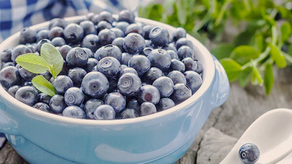 Черника полезная еда фермерские товары