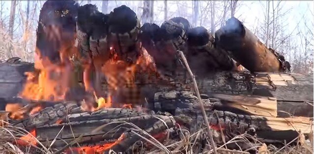 фото - Блоги выживальщиков