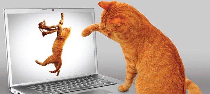 Обзор на новую книгу Блейка Снайдера 