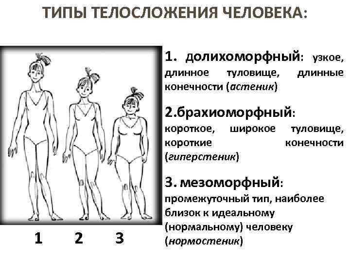 Функциональная конституция человека презентация