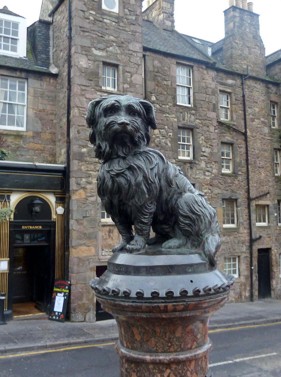 Fraser Mummery/www.flickr.com/CC BY 2.0