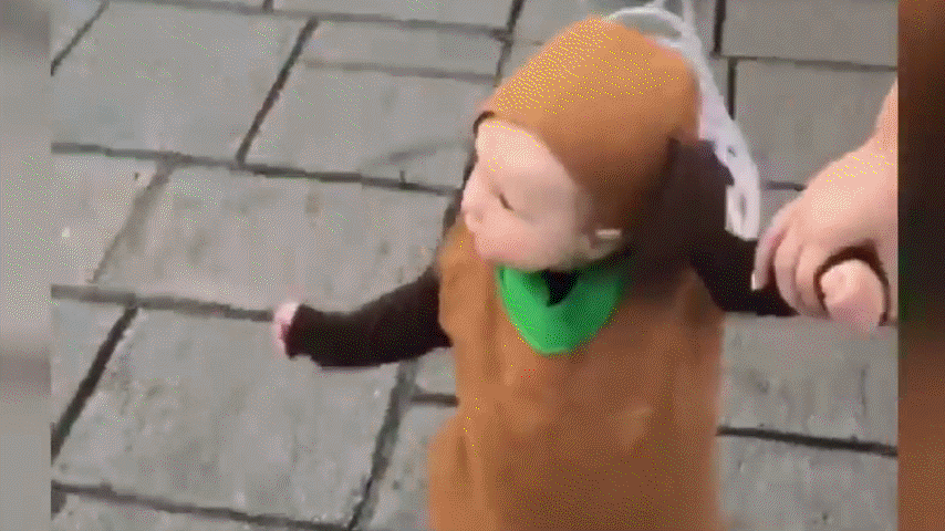 Когда очень хотел завести таксу, а жена завела двойню.