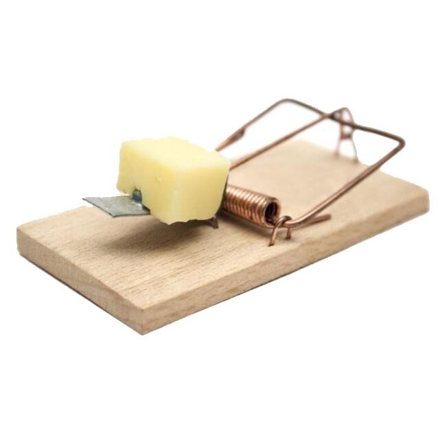 По-английски "мышеловка" - a mousetrap. Из такой мне бабушка помогала доставать отловленных мышек. До сих пор неоднозначно отношусь в сыру, ибо мышки не успевали даже откусить кусочек. We are doomed to make tough choices. Every tough decision comes with some sort of sacrifice. Every single one. No exceptions. 
