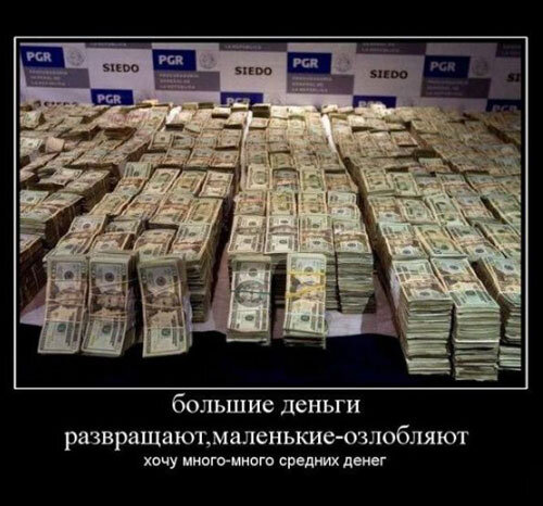 Фото: https://bipbap.ru 