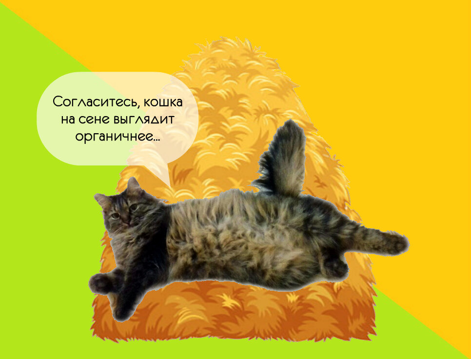 Как появилось выражение «собака на сене» | Беречь речь | Дзен